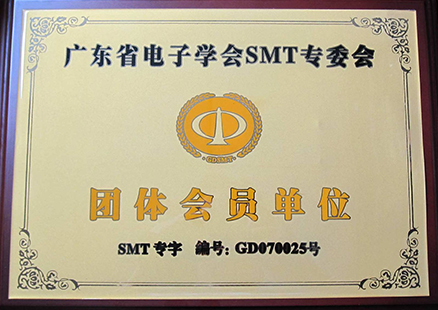 Guangdong SMT group member unit